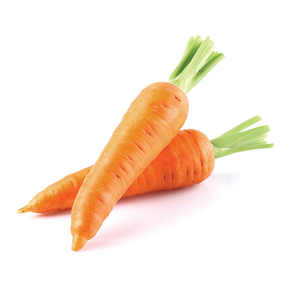 Carrot 