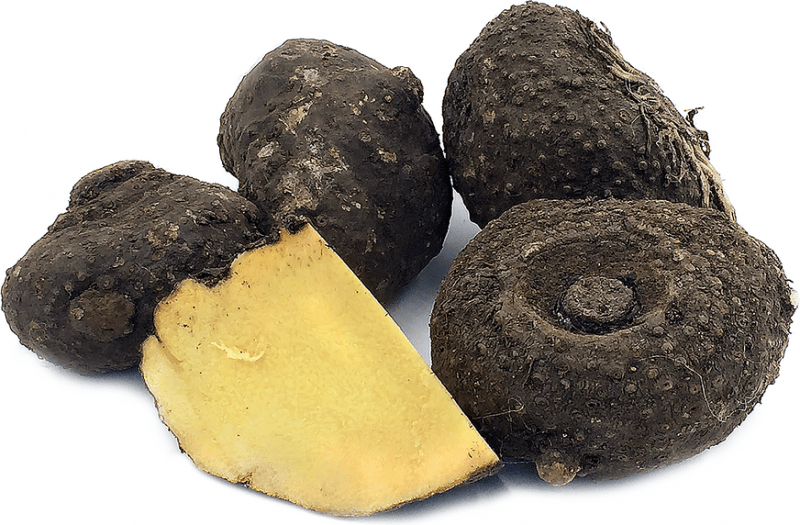 Senai Kizhangu (Elephant Yam)