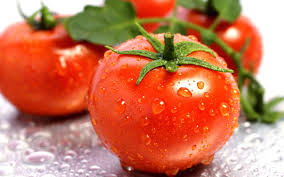 Tomato-Thakkalli