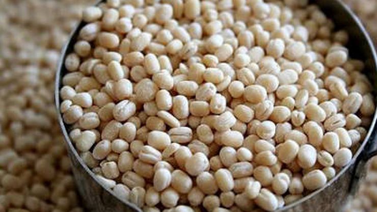 Organic-Dhal-Ulundhu