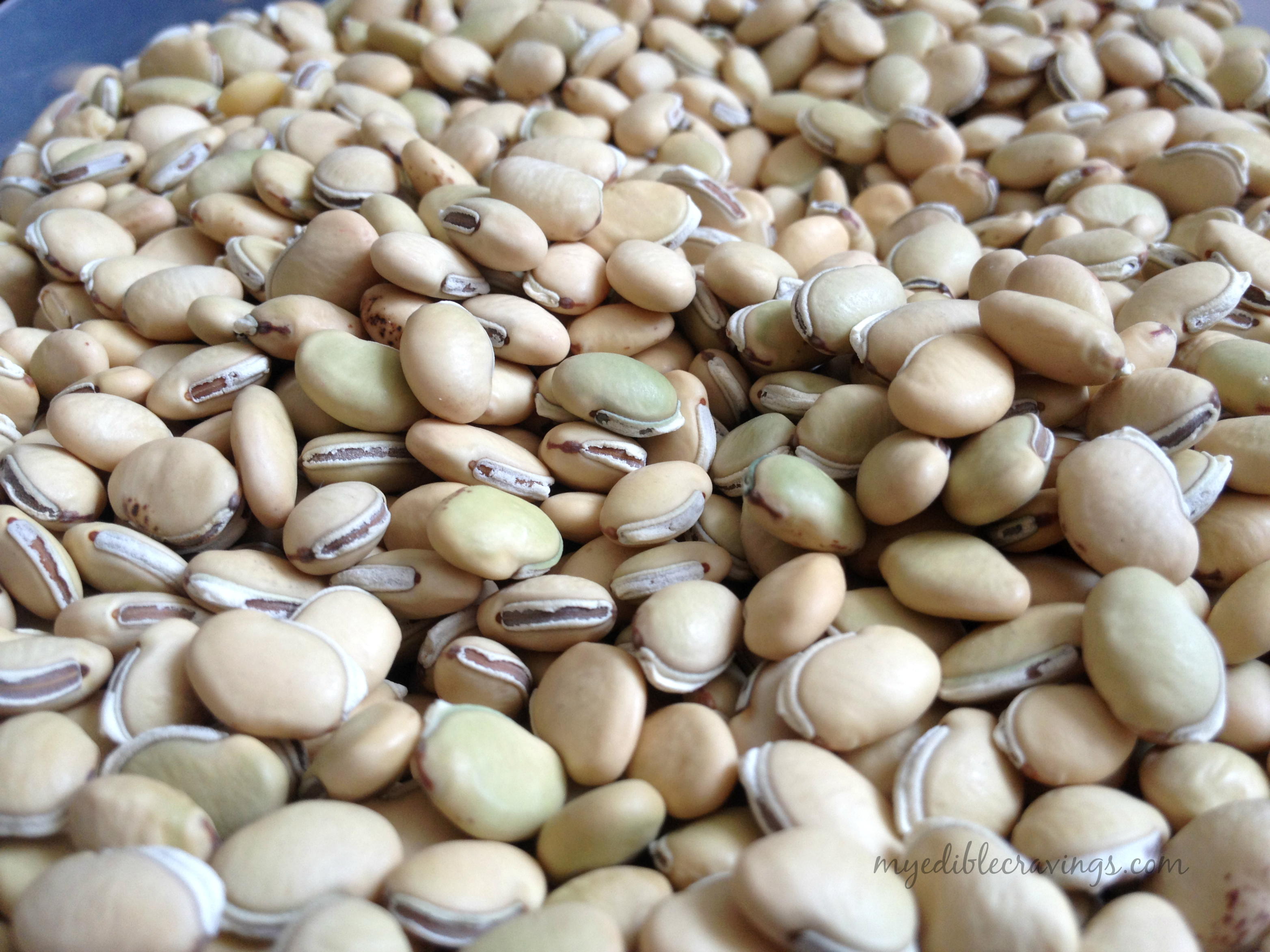 Organic-Pulses-Mochaii