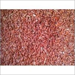 Organic-Traditional Rice-Valan Samba