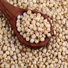 Organic-Millet-Cholam