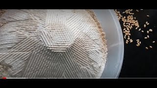 Organic-Samba kodhumai Maavu