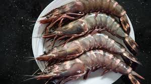 PRAWN -fish (01kg) Q2