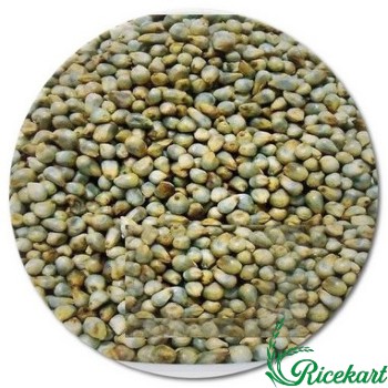 GANESGH KAMBU 1/2 KG