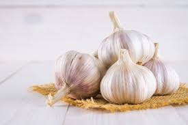 Garlic - Poodu