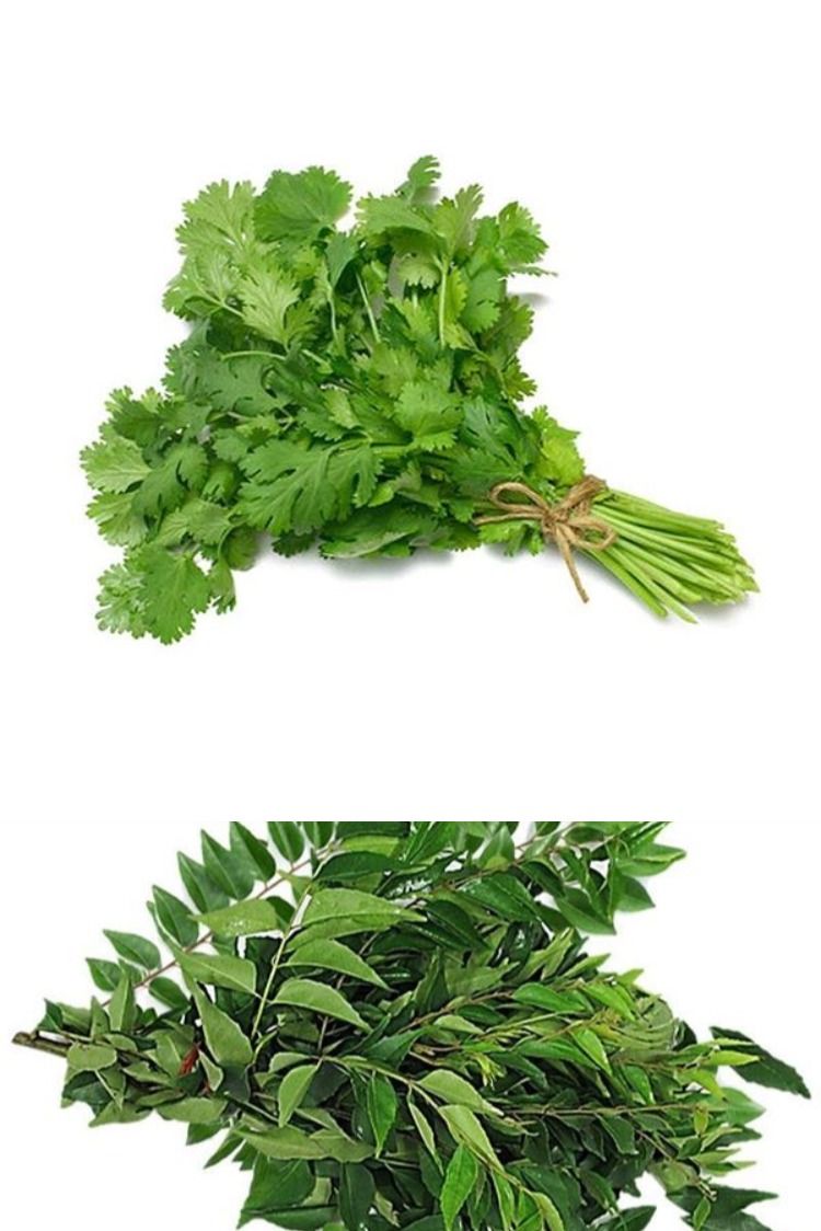 Mint leaves -  Puthina 