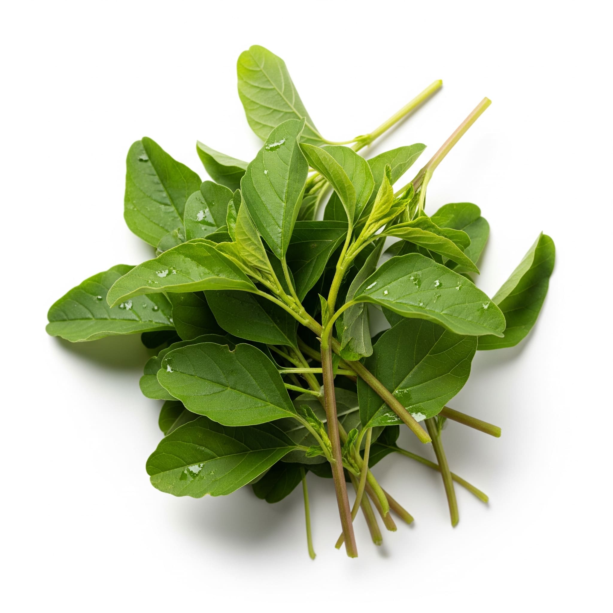 Amaranth  Leaves Siru Keerai