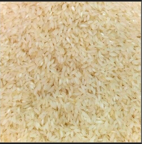 Ambai 16 Rice