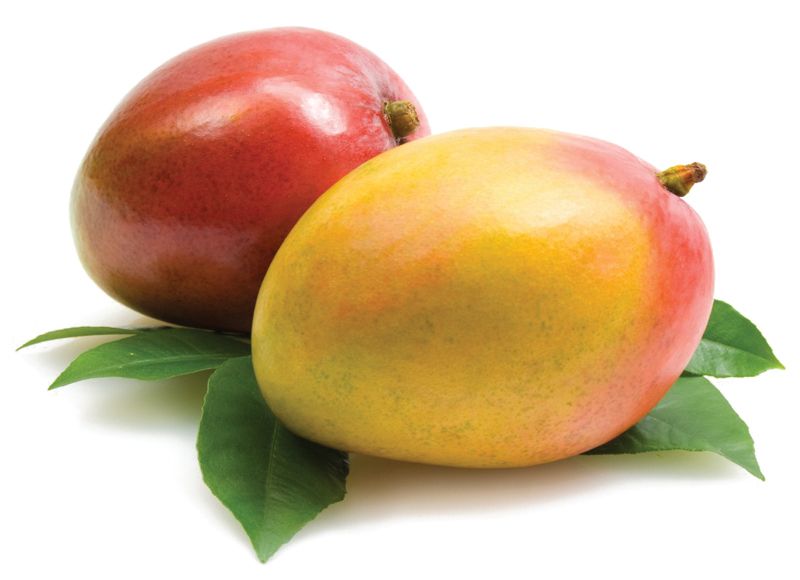 Mango-Malgova-Malgova Mampazham