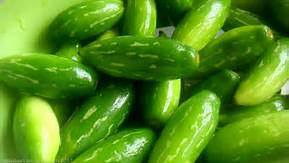 ScarletGourd-Kovaikai